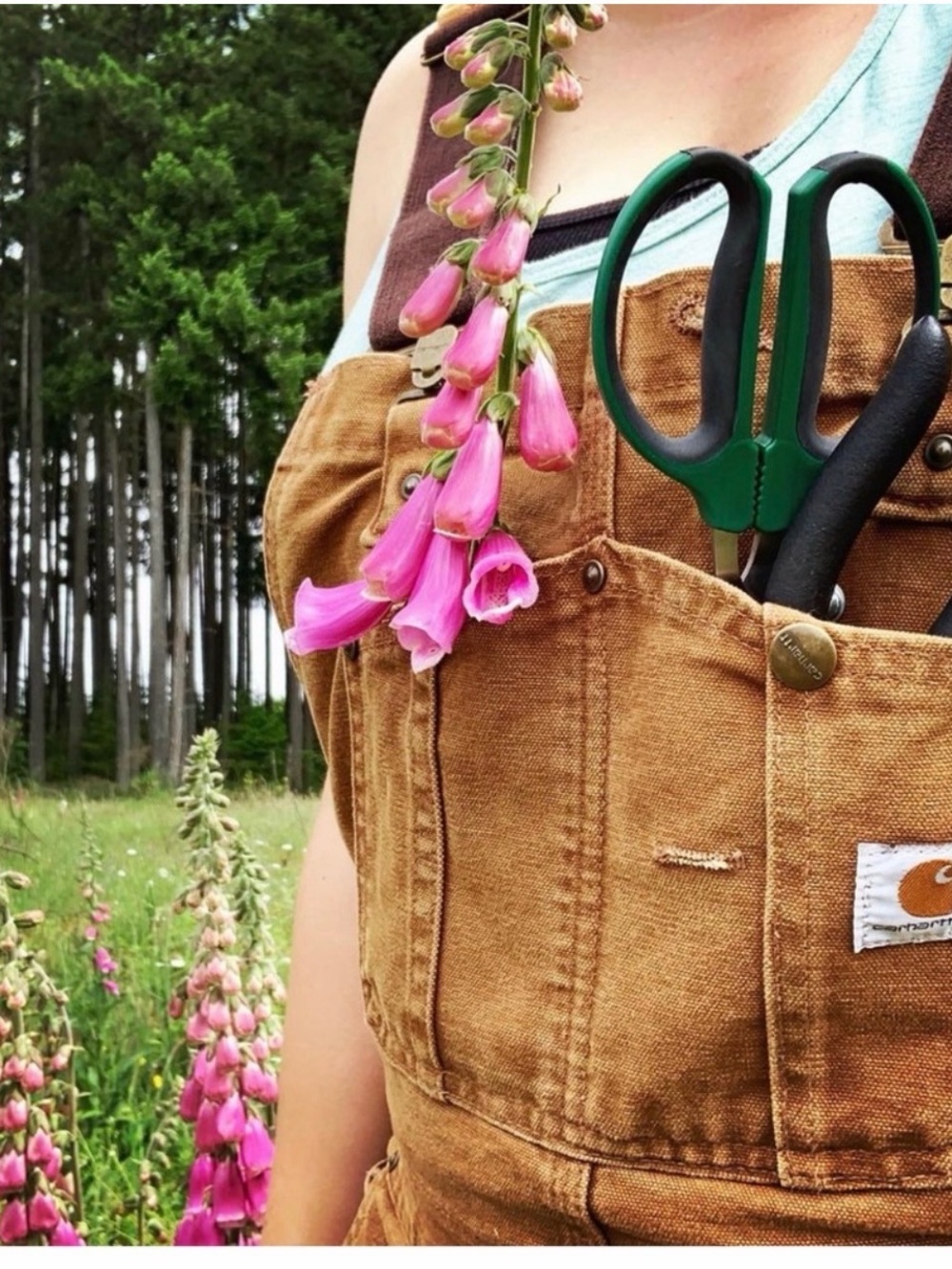 Carhartt Brown/tan overalls